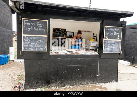 Ein Fischhändler, der ihren frisch gefangenen Fisch auf dem Stade (Hastings Fish Market) in der Altstadt von Hastings, East Sussex, säubert und arrangiert Stockfoto