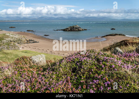 Blick von ynys Llanddwyn über rhosneigr Strand, Llanfairpwllgwyngyll, Anglesey, Wales UK Stockfoto