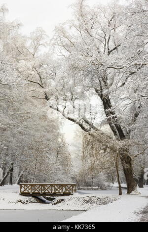 Winter wald landschaft. Bäume unter einer dicken Schicht Schnee. Russland, Moskau, sokolniki Park Stockfoto