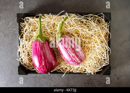 Gesund und lecker lila Auberginen auf dem Stroh. dunklen Hintergrund Stockfoto