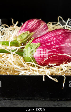 Gesund und lecker lila Auberginen auf dem Stroh. dunklen Hintergrund Stockfoto