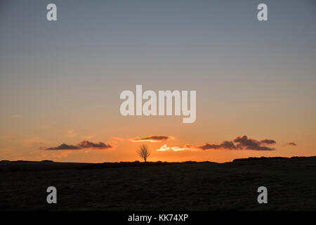 Sonnenuntergang an der Offa's Dyke Path auf Hergest Ridge, oben Kington, Herefordshire, UK. Stockfoto