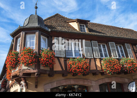Blumige Haus im Dorf Andlau, Villages Fleuris, Ausläufer der Vogesen, auf der Weinstraße des Elsass, Frankreich Stockfoto