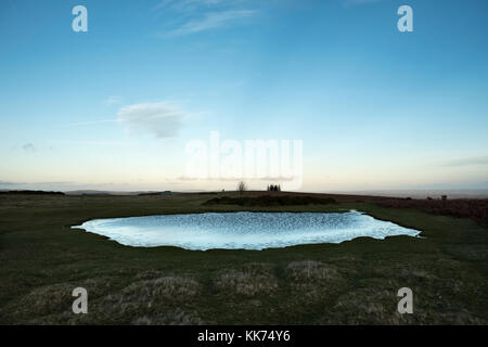 Entlang der Offa's Dyke Path auf Hergest Ridge, oben Kington, Herefordshire, UK. Stockfoto