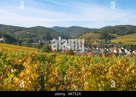 Dorf Andlau eingebettet zwischen Weinbergen in schönen Farben des Herbstes, Ausläufer der Vogesen, auf der Weinstraße des Elsass, Frankreich Stockfoto