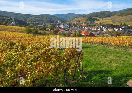 Dorf Andlau und die umliegenden Weinberge in schönen Farben des Herbstes, Ausläufer der Vogesen, auf der Weinstraße des Elsass, Frankreich Stockfoto