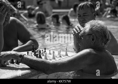 Alte Männer spielen Schach im Freien an der Széchenyi Thermalbad, Budapest. monochrom, Schwarz und Weiß Stockfoto