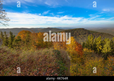 Blick auf die Vogesen mit Herbst Wald von Mont Sainte-odile, in deutschen Odilienberg, Elsass, Frankreich Stockfoto