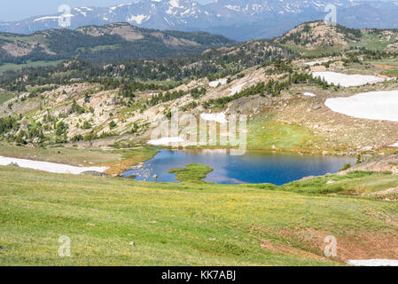 Alpine Lake entlang der Beartooth Highway. Yellowstone Park, Gipfel der beartooth Mountains, Shoshone National Forest, Wyoming, USA. Stockfoto