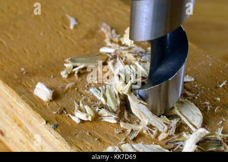 Bohren Holz. Horizontale Nahaufnahme von Holz Bohrer und Späne. Stockfoto