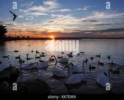 Plattensee in der Nähe von Siofok, Ungarn Stockfoto