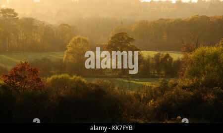 Sherborne Naturschutzgebiet, Gloucestershire Stockfoto