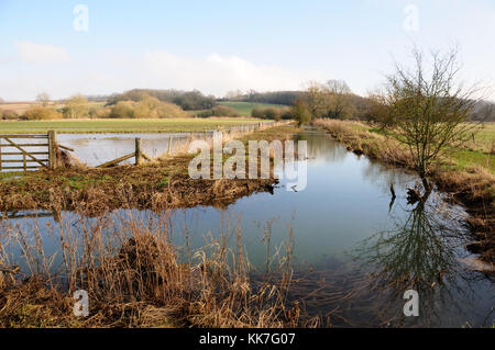 Sherborne Naturschutzgebiet, Gloucestershire Stockfoto