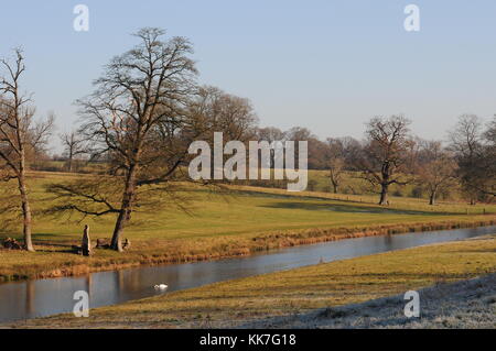 Sherborne Naturschutzgebiet, Gloucestershire Stockfoto