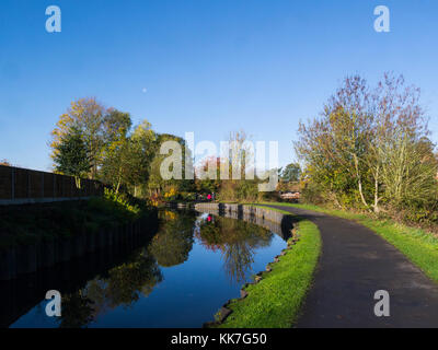 Blick entlang Droitwich Kanal in Reben Park Droitwich Spa Worcestershire England Großbritannien Stockfoto