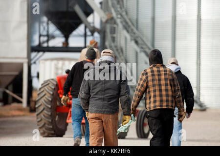 Drei Generationen von Landwirten gehen über Auffahrt von der Farm der Familie in Blooming Prairie, Minnesota. Stockfoto