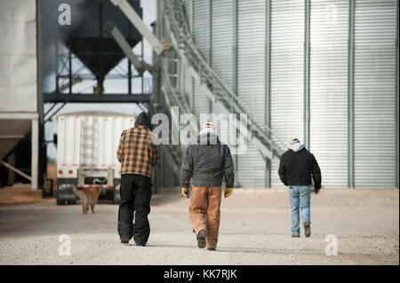 Drei Generationen von Landwirten gehen über Auffahrt von der Farm der Familie in Blooming Prairie, Minnesota. Stockfoto