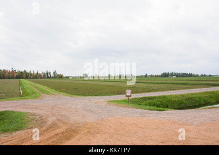 Vilas cranberry Farm in Manitowish Gewässer, Wisconsin Stockfoto