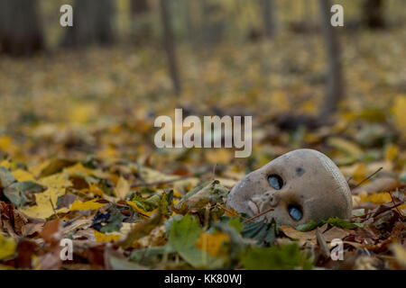 Eine gruselige Puppe Kopf liegt im Wald bei Sonnenaufgang verlassen. Stockfoto