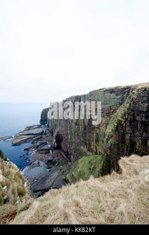 Handa Island, Schottland. eine unbewohnte Insel vor der Nordwestküste von Schottland, das von der schottischen Wildlife Trust als Vogelschutzgebiet verwaltet wird Stockfoto