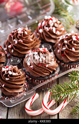 Schokolade Pfefferminz Cupcakes mit Zuckerstange Stockfoto