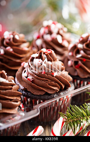 Schokolade Pfefferminz Cupcakes mit Zuckerstange Stockfoto