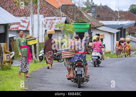 Balinesische Frauen den Transport von Gütern auf dem Kopf in der Nähe von Ubud, gianyar Regency auf der Insel Bali, Indonesien Stockfoto