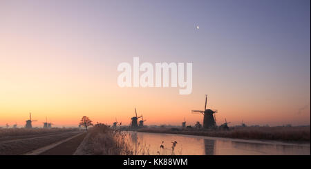 Sonnenaufgang über Windmühlen an einem kalten Wintermorgen mit Eis auf dem Kanal und Reif auf dem Schilf in kinderdijk in den Niederlanden im Panorama. Stockfoto