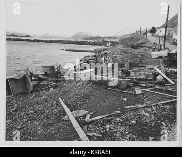 Ein Foto von Ablagerungen entlang das Wasser nach dem Alaska Erdbeben 1964 Links, die Trümmer hinterlegt wurde, nachdem das Wasser aus der Tsunami, die durch die Erdbeben zurück, die 92 Erdbeben in Prince William Sound entstanden und ist der zweitgrößte Erdbeben jemals verzeichneten, Alaska, 1964. Stockfoto