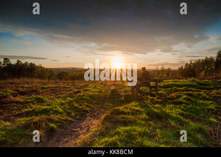 Tunbridge Wells hargate Wald Kent; Mann mit Kappe sitzt auf der Bank mit Westie Hund über das Heidekraut und Adlerfarn Tal suchen Sonnenuntergang beobachten Stockfoto