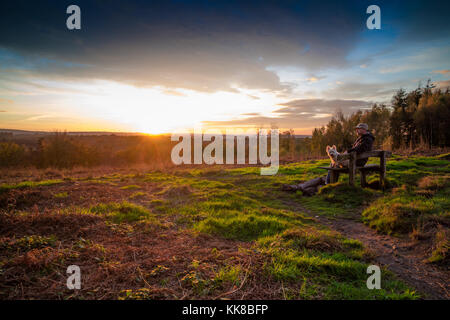 Tunbridge Wells hargate Wald Kent; Mann mit Kappe sitzt auf der Bank mit Westie Hund über das Heidekraut und Adlerfarn Tal suchen Sonnenuntergang beobachten Stockfoto