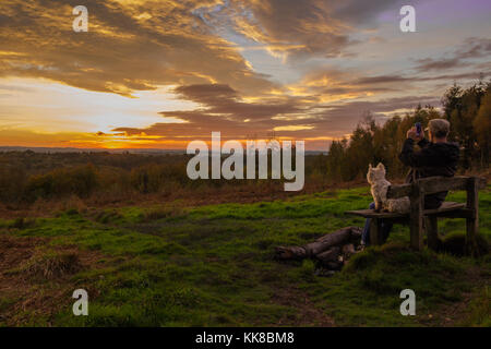 Tunbridge Wells hargate Wald Kent; Mann mit Kappe sitzt auf der Bank mit Westie Hund über das Heidekraut und Adlerfarn Tal suchen Sonnenuntergang beobachten Stockfoto