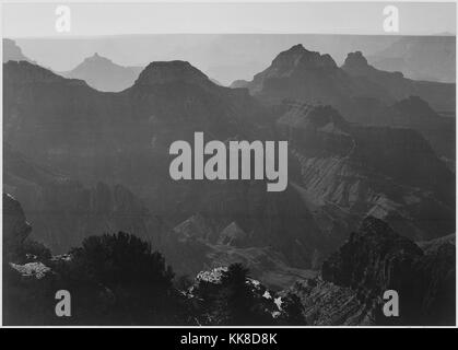 Schwarz-weiß Foto, Ansicht mit Strauch Detail im Vordergrund, mit Untertiteln "Grand Canyon National Park', von Ansel Adams, von Fotografien von Nationalparks und Monumente, Alabama, United States, 1941. Stockfoto