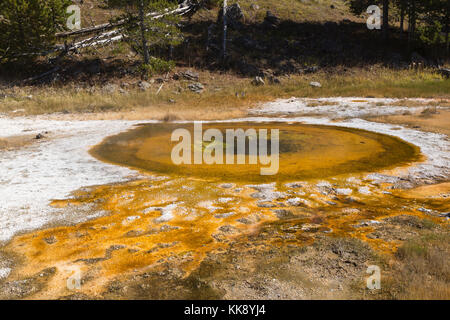 Wellenfeder thermische Funktion in der Upper Geyser Basin, Yellowstone National Park Stockfoto