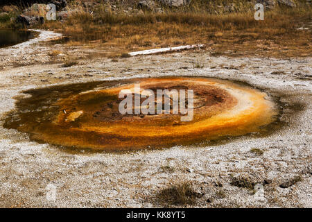 Wirtschaftliche Geysir thermische Funktion in der Upper Geyser Basin, Yellowstone National Park Stockfoto