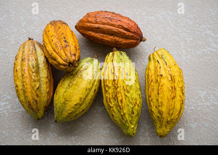 Ein Haufen von natürlichen organischen Ganzen Cocoa bean Pods Stockfoto