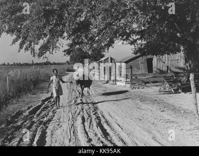 Schwarz-weiß Foto eines jungen Afrikaners - Frau mit nach Hause Kuh aus den Feldern am Abend, gehen hinunter eine Dirt Road, ein Feld kann auf der linken Seite und Holz Strukturen auf der rechten Seite, Belzoni, Mississippi Delta, November 1939 gesehen werden. Von der New York Public Library. Stockfoto