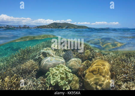 Oberhalb und unterhalb der Meeresoberfläche, gesunde Coral Reef Unterwasser in der Lagune von Grande Terre Insel vor der Küste der Stadt Noumea, Neukaledonien, Pazifik Stockfoto