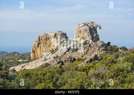 Spanien Cap de Creus natürliche Felsformation, Costa Brava, Katalonien, Girona, Mittelmeer Stockfoto