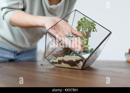 Bild der Frau florist Übersicht Master Klasse auf das florarium mit Steinen Stockfoto