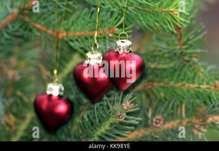 Weihnachtsdekoration, drei rote Herzen hängen an Niederlassungen Fichte Stockfoto