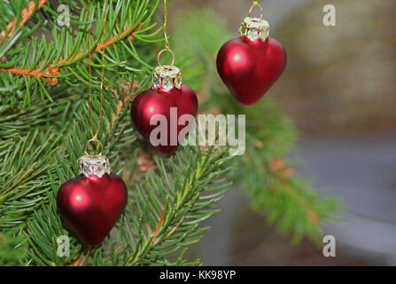 Drei rote Herzen hängen am Weihnachtsbaum Stockfoto