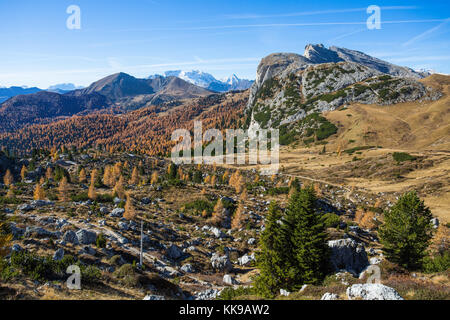 Herbst Landschaft in Dolomiten, Italien. Berge, Tannen und Lärchen, die Farbe angenommen, die typische Gelb Herbst Farbe ändern. Stockfoto