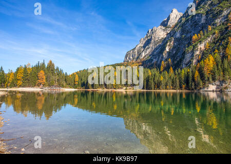 Blick auf die Pragser See in einem farbenfrohen Herbst Landschaft in den italienischen Dolomiten Alpen, Pustertal, im Fanes - Sennes und Prags. Stockfoto