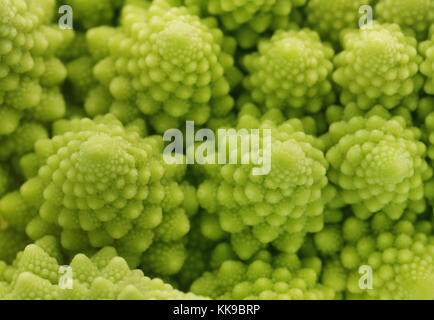 Durch frische Oberfläche Romanesco Brokkoli Hintergrund Stockfoto