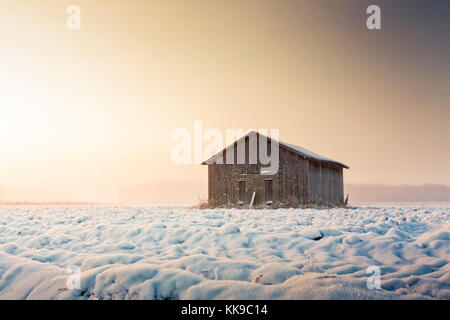 Die risin sun Farben die verschneiten Felder gelb. Eine einsame Scheune Haus steht auf die leeren Felder im Winter im Norden Finnlands. Stockfoto