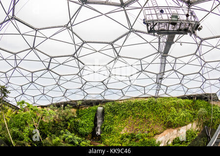 In der tropischen Biome an der beliebten Besucherattraktion, das Eden Project, st. blazey, in der Nähe von St. Austell, Cornwall, England, Vereinigtes Königreich, Europa Stockfoto