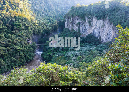 Berg Regenwald, in der Nähe des Wasserfalls pailon del Diablo in den Anden. Banos Ecuador. Stockfoto