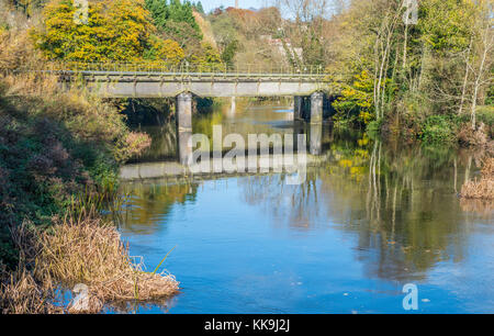 Der Fluss Avon in Bradford on Avon, zeigt die Eisenbahnbrücke. Stockfoto