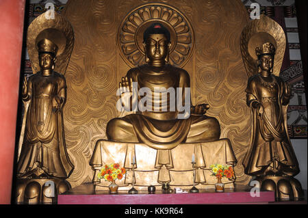 Pjoengjang, Nordkorea, Buddha Figuren in einem Tempel Stockfoto